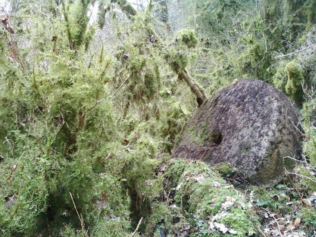 Gite De Charme Auvergne Cab'Ane Brousse Exterior foto
