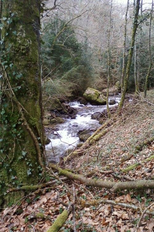 Gite De Charme Auvergne Cab'Ane Brousse Exterior foto