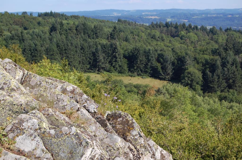 Gite De Charme Auvergne Cab'Ane Brousse Exterior foto